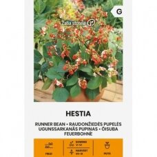 Raudonžiedės pupelės HESTIA (Phaseolus coccineus L.)