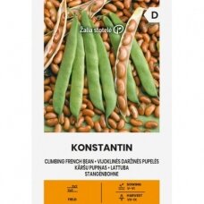 Daržinės vijoklinės pupelės KONSTANTIN (Phaseolus vulgaris L.)
